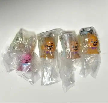 skzoo 가챠 메지루시 액세서리 한 쿼카 뚜에끼 테루테루보즈