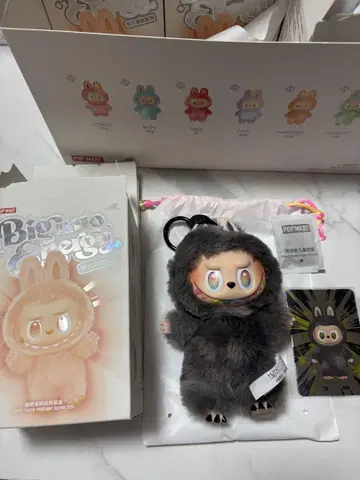 [ 정품 ] 라부부 에너지 labubu 시크릿
