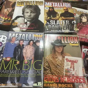 METALLION Vol. 13~25 (24권 없음)