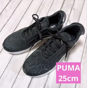 PUMA 스니커즈 스네이크 패턴 새상품급 중고 25 블랙 푸마 뱀