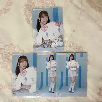 이코라브 타키와키 쇼코 브로마이드 시나모롤 시나몬 친필 세미 컴프