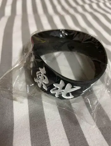 도호쿠 라이브 하우스 대작전 러버 밴드
