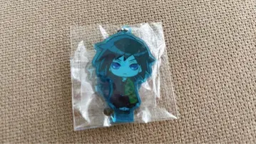 귀멸의 칼날 코코에미 토미오카 기유