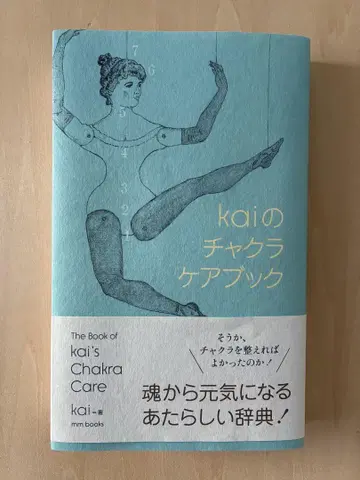 Kai의 차크라 케어북