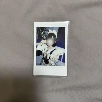 집사와 메이드 하우키 고양이 고양이 고양이 하우 란 폴라로이드