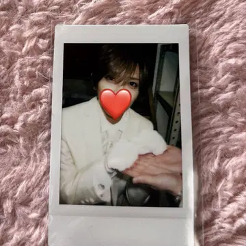 러브시크 사쿠라 군 폴라로이드