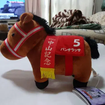 사라브레드 컬렉션 FR 봉제 인형 반사라사 나카야마 기념 5 미사용품