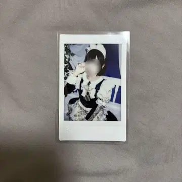 집사와 메이드 하우키 고양이 고양이 고양이 하우 란 폴라로이드