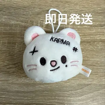 Stray Kids 스키즈 KARMA 팝업 네임택 현진