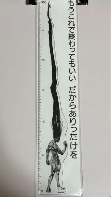 HUNTER x HUNTER 곤의 모든 것을 담은 눈금자 곤 씨 헌터헌터