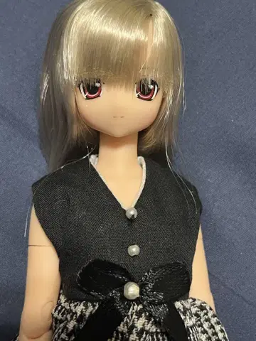 아존 사아라즈 아 라 모드 리세 바디 변경 완료 퓨어니모