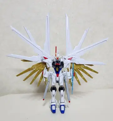 HG MIGHTY STRIKE FREEDOM GUNDAM