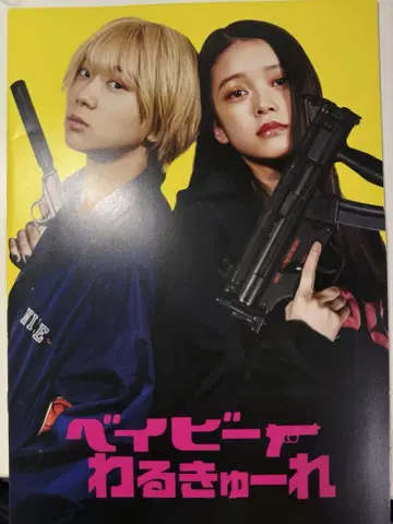베이비레 팜플렛
