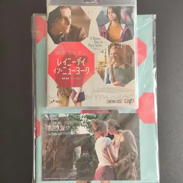 레이니 데이 인 뉴욕 DVD