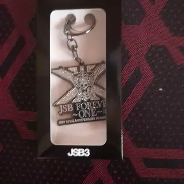 JSB FOREVER ONE 15주년 기념 키링