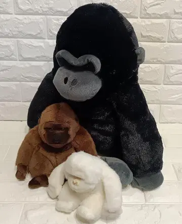 우호호 고릴라의 고릴라 군 블랙 외 블랑 화이트 3체 세트