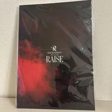코이치 도모토 RAISE 팜플렛
