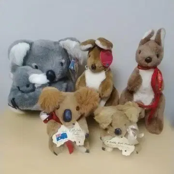 호주산 코알라 & 캥거루 봉제 인형 5세트
