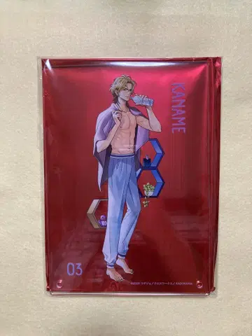 요 스이파라 브라 네이비 운명 복권
