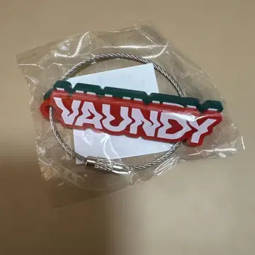 VAUNDY 키링 키링 가챠 미사용 새상품