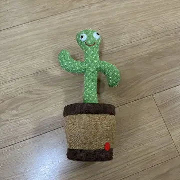 흉내 선인장