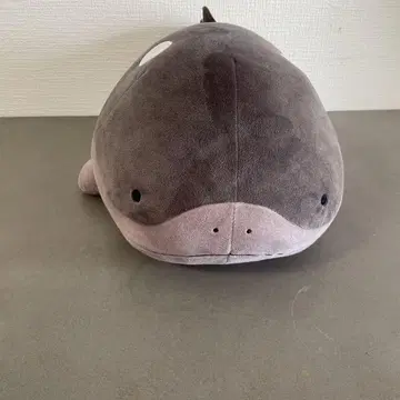 포켓몬 도오 엄청 폭신폭신 봉제 인형