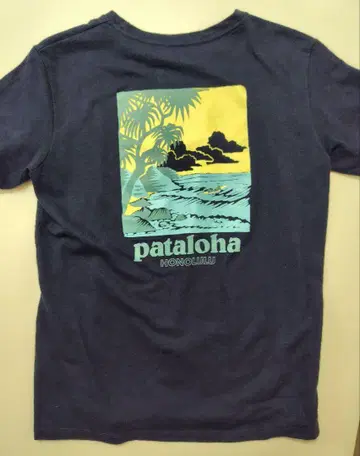 파타고니아 patagonia pataloha 하레이와