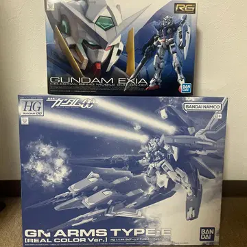 RG 건담 엑시아 HG GN ARMS TYPE-E