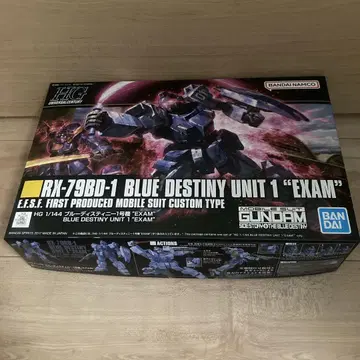 HG RX-79BD-1 블루 데스티니 유닛 1 'EXAM'