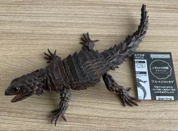 아르마딜로 도마뱀 블랙