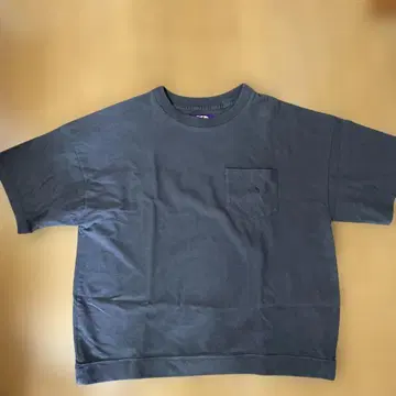 THE NORTH FACE 그레이 티셔츠 WM