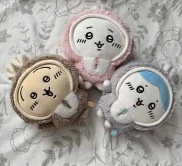 치이카와 (먼작귀) 토끼띠