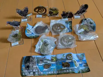 네이처 테크니컬러 세계자연유산 아크릴 마스코트 생물 피규어