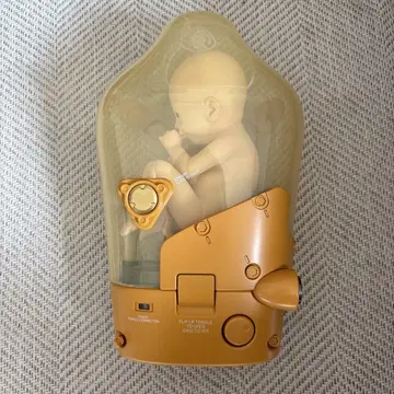 BB 포드