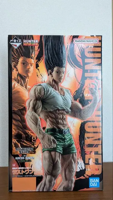 제일복권 HUNTERxHUNTER 라스트 원상 곤 성장 ver 곤 씨