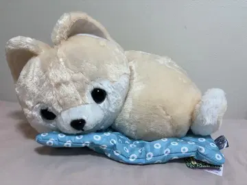강아지 모양 봉제 인형 파란 도트 쿠션 포함 콩 시바