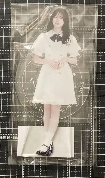 노기자카46 스가와라 사츠키 생탄 기념 아크릴 스탠드