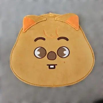 stray kids 부채 커버 한