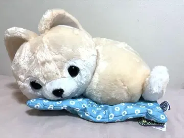 콩시바 삼형제 좌식 방석 빅 사이즈 스케