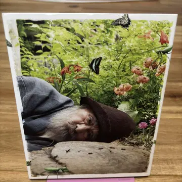 모리가 있는 장소 특장 한정판 Blu-ray
