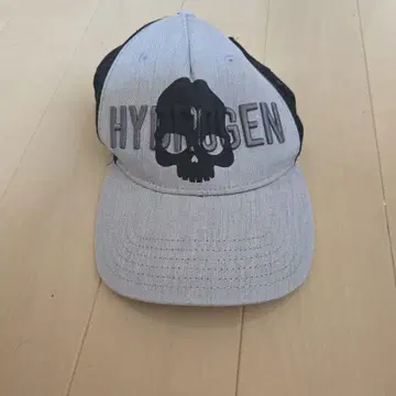 HYDROGEN 스컬 프린트 캡