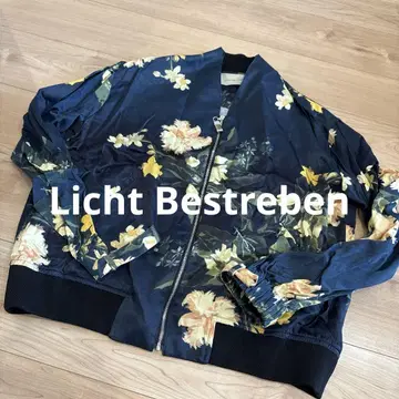 리히트베슈트레벤/블루종
