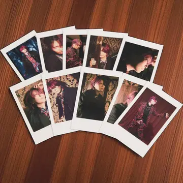 아라키 폴라로이드풍 컬렉션 vol.2 10종 컴플리트 세트