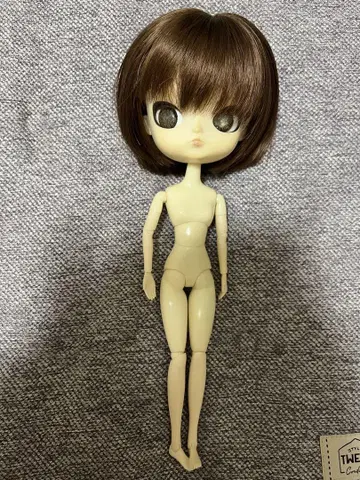 달 소체
