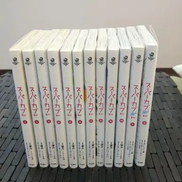 슈퍼커브 12권