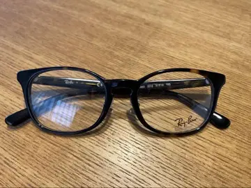 Ray-Ban 메카 프레임