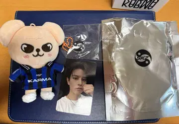 Stray kids karma skzoo 승민