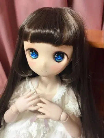 돌피드림 MDD 본체+커스텀 헤드