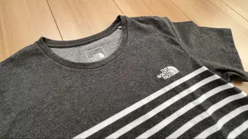 THE NORTH FACE 패널 보더 티