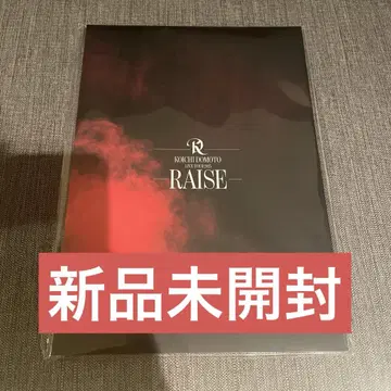 즉시 구매 OK KOICHI DOMOTO RAISE 팜플렛